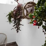 Apartment Celta
