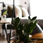 Celta Apartment Vigo