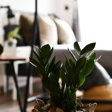 Celta Apartment Vigo