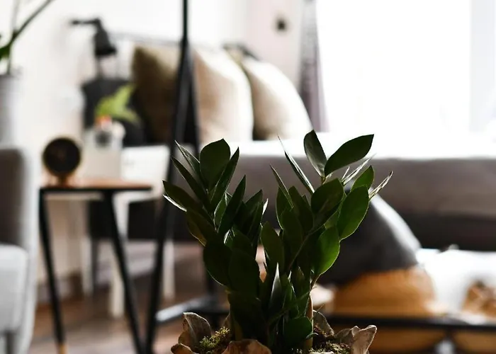 Celta Appartement Comarca de Vigo